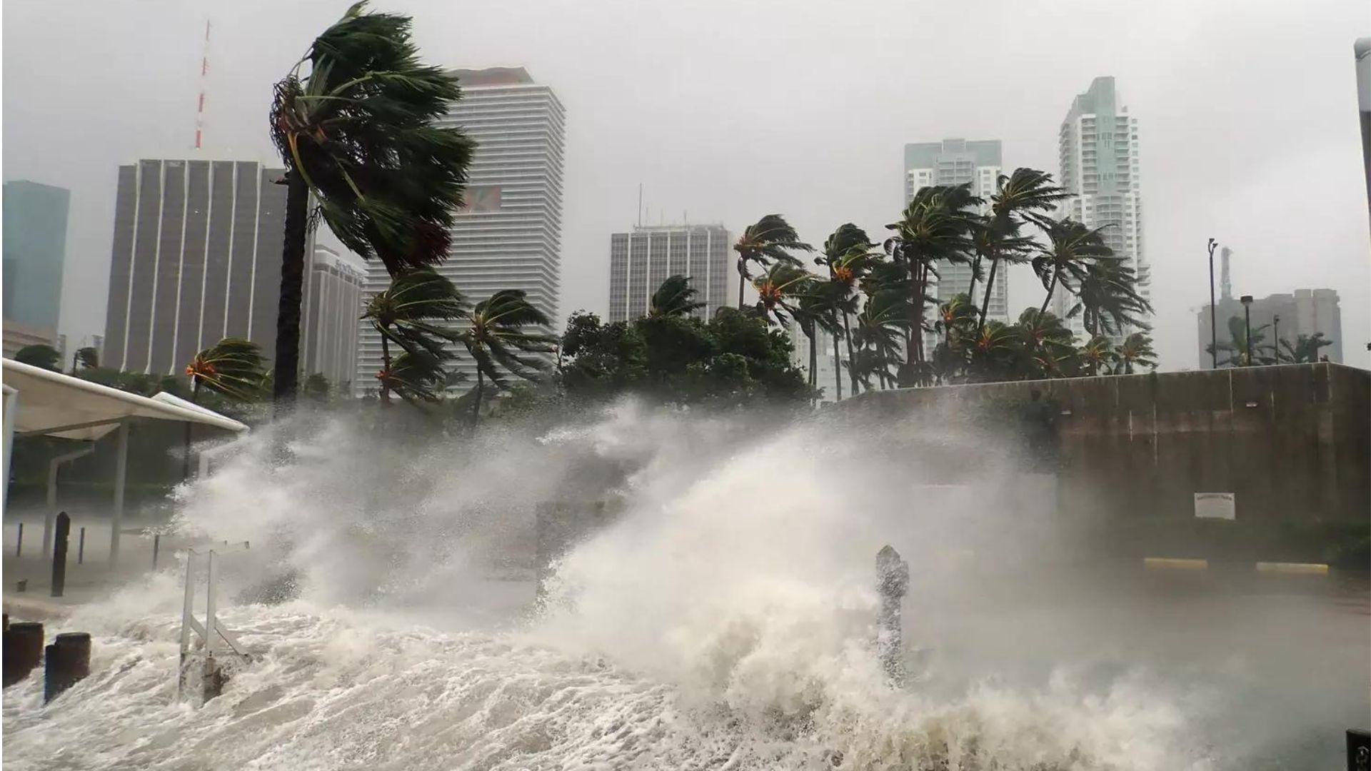 governor-newsom-declares-a-state-of-emergency-in-california-as