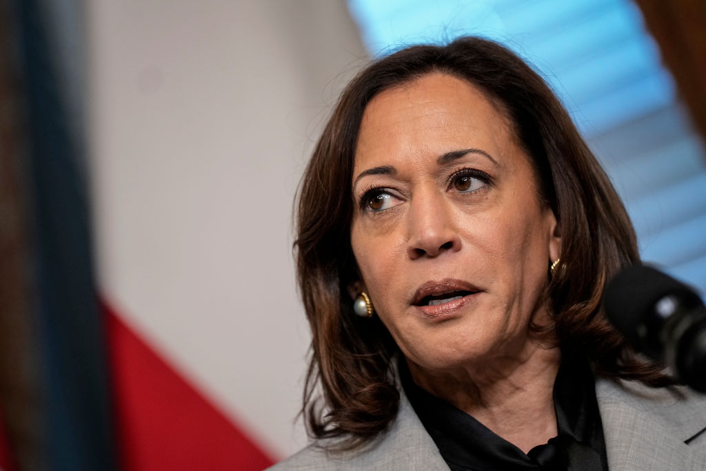 Vice President Kamala Harris Snaps At Climate Change Activist For ...