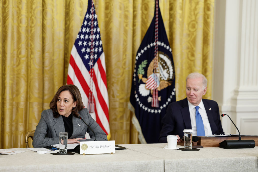 Vice President Kamala Harris Snaps At Climate Change Activist For ...