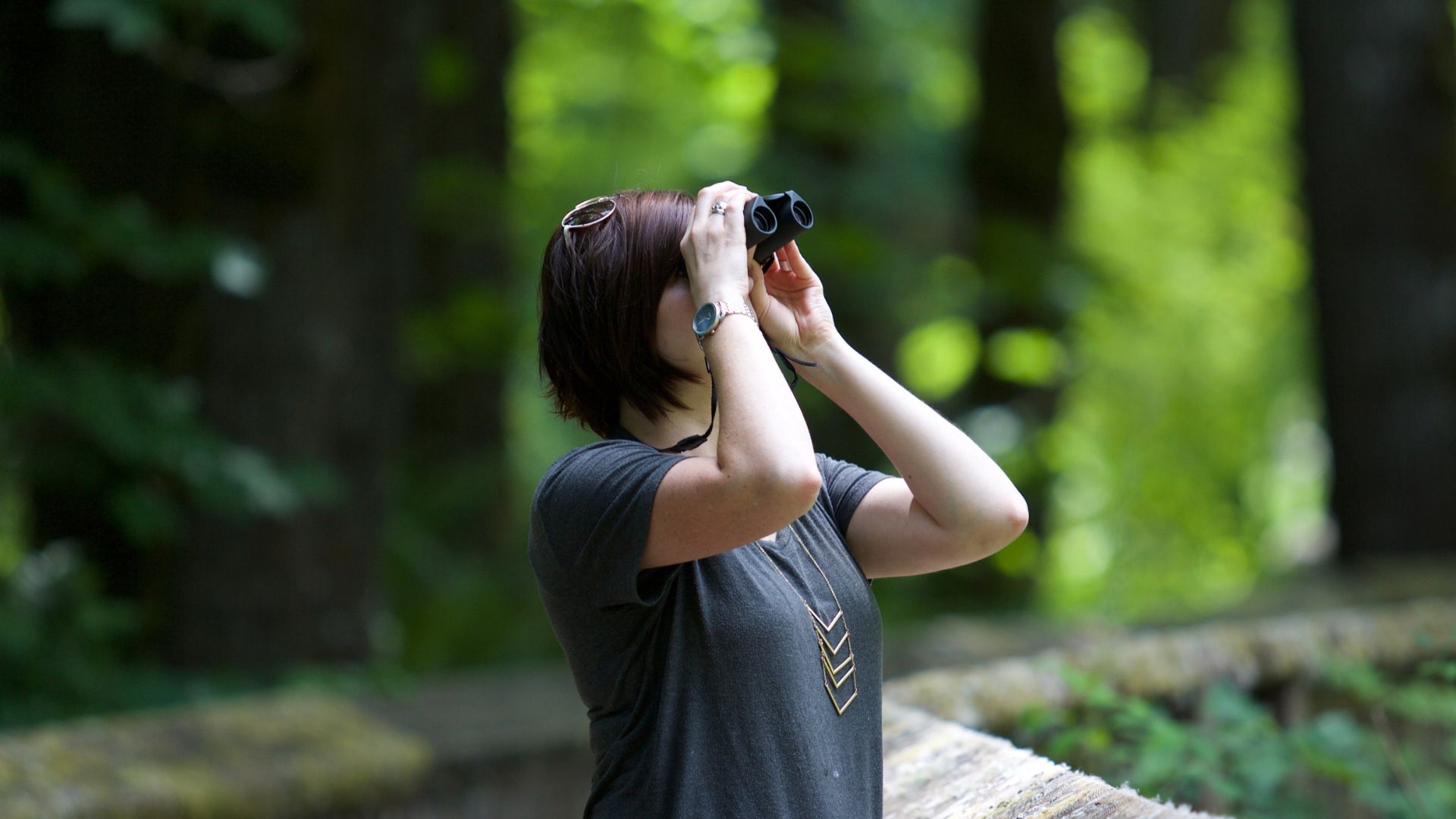 A person outdoors, observing through binoculars, focused on watching birds or wildlife in a lush forest environment